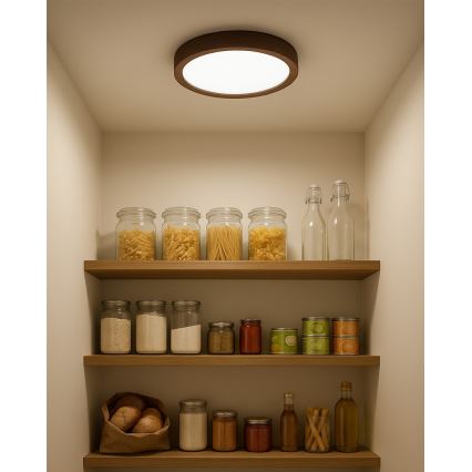 Plafón LED 18W/230V 3000/4000/6500K Ø 23 cm, marrón