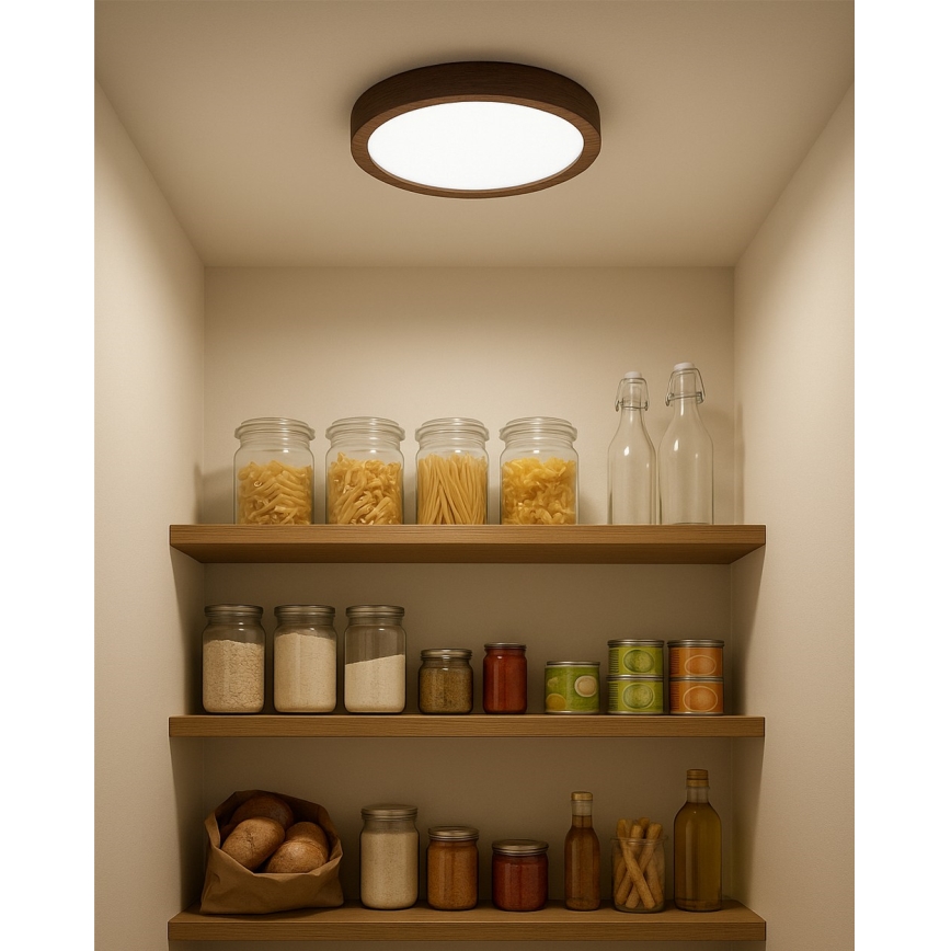 Plafón LED 18W/230V 3000/4000/6500K Ø 23 cm, marrón