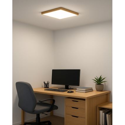 Plafón LED 24W/230V 3000/4000/6500K 30x30 cm beige