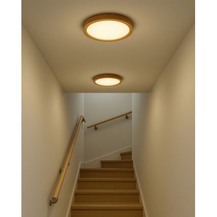 Plafón LED 24W/230V 3000/4000/6500K Ø 30 cm beige