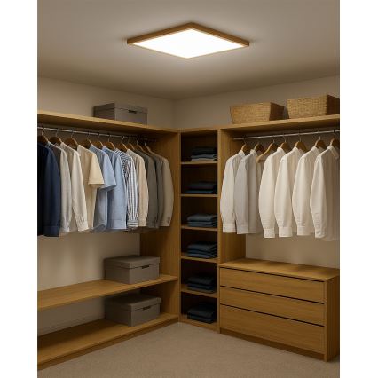 Plafón LED/40W/230V 3000/4000/6500K 50x50 cm beige