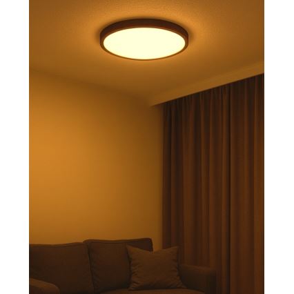 Plafón LED 40W/230V, 3000/4000/6500K, Ø 50 cm, marrón