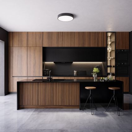 Plafón LED CLEO LED/24W/230V 3000K diá. 30 cm negro