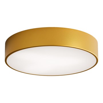 Plafón LED CLEO LED/43W/230V 3000K diá. 40 cm dorado