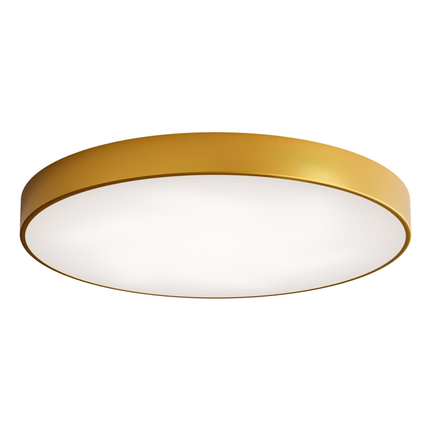 Plafón LED CLEO LED/96W/230V 4000K diá. 80 cm dorado