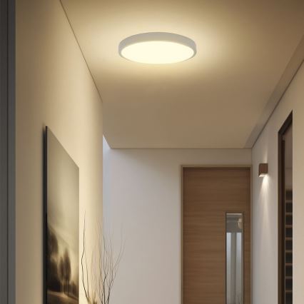 Plafón LED de baño con sensor SAMSUNG CHIP LED/24W/230V IP44 6500K diá. 35 cm blanco + control remoto