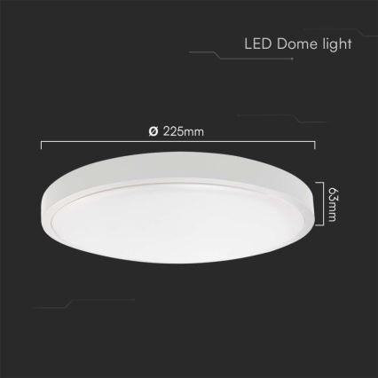Plafón LED de baño LED/18W/230V 4000K IP44 diá. 22,5 cm blanco