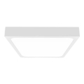 Plafón LED de baño LED/18W/230V 6500K IP44 22,5x22,5 cm blanco