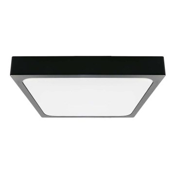 Plafón LED de baño LED/18W/230V 6500K IP44 22,5x22,5 cm negro