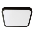 Plafón LED de baño LED/18W/230V 6500K IP44 25x25 cm negro