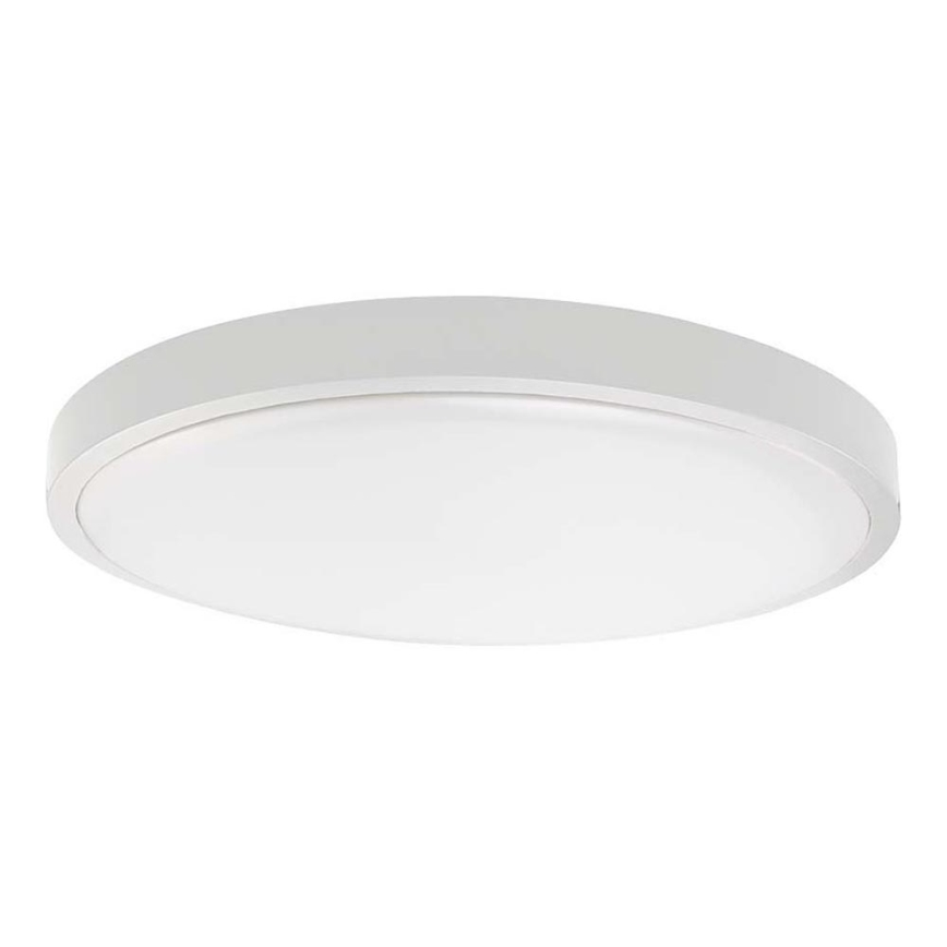 Plafón LED de baño LED/24W/230V 4000K IP44 diá. 29,5 cm blanco