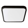 Plafón LED de baño LED/24W/230V 6500K IP44 29,5x29,5 cm negro