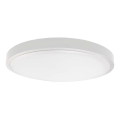 Plafón LED de baño LED/24W/230V 6500K IP44 diá. 29,5 cm blanco