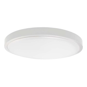 Plafón LED de baño LED/24W/230V 6500K IP44 diá. 29,5 cm blanco