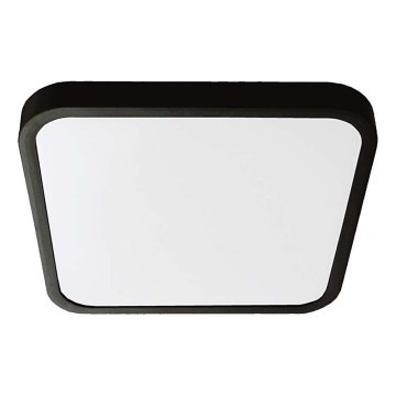 Plafón LED de baño LED/48W/230V 6500K IP44 42x42 cm negro
