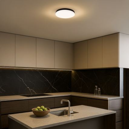 Plafón LED de baño MAYA LED/15W/230V diá. 33 cm IP44 negro