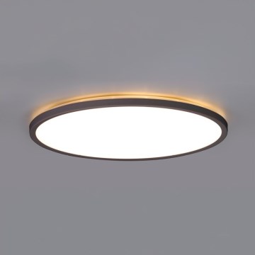 Plafón LED de baño NIVERA LED/12W/230V IP54 3000/4000/6000K diá. 22,5 cm negro