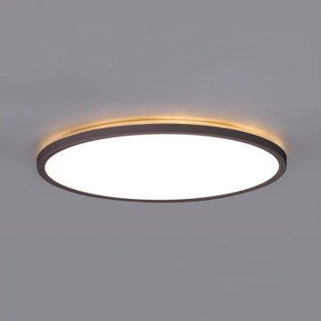 Plafón LED de baño NIVERA LED/18W/230V IP54 3000/4000/6000K diá. 30 cm negro