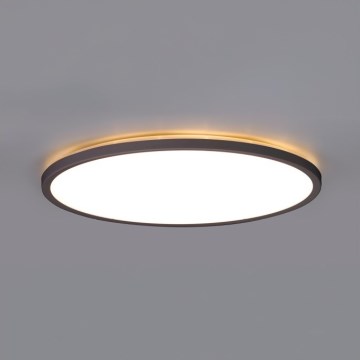 Plafón LED de baño NIVERA LED/24W/230V IP54 3000/4000/6000K diá. 30 cm negro
