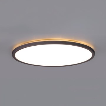 Plafón LED de baño NIVERA LED/32W/230V IP54 3000/4000/6000K diá. 42 cm negro
