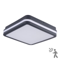 Plafón LED de exterior con sensor BENO LED/24W/230V 4000K antracita IP54
