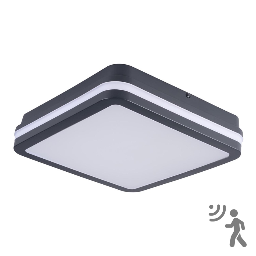 Plafón LED de exterior con sensor BENO LED/24W/230V 4000K antracita IP54
