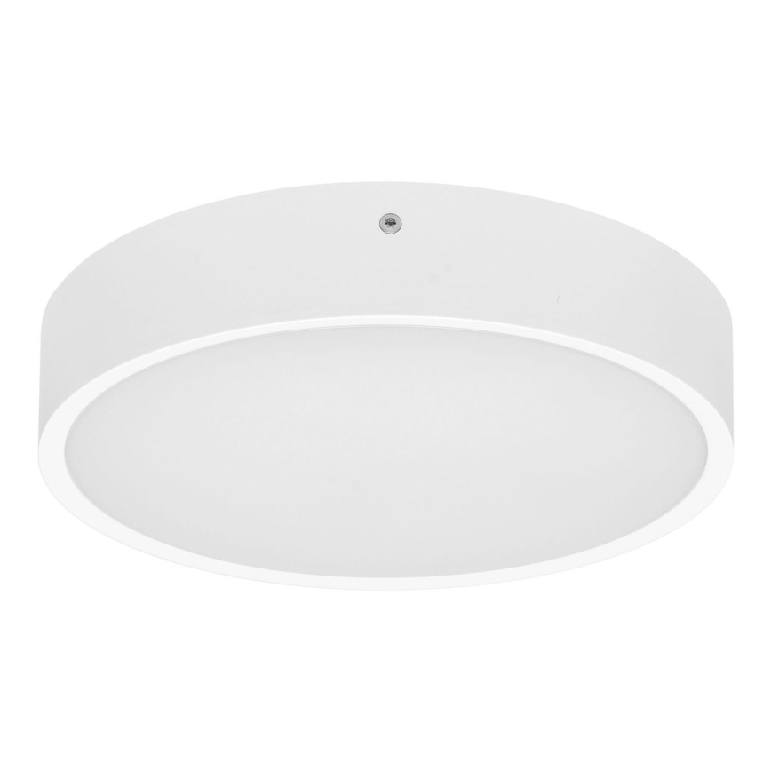 Plafón LED de exterior con sensor MARTIN LED/15W/230V 3000/4000K diá. 30 cm IP65 blanco