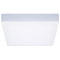 Plafón LED de techo, 18W/230V, 3000/4000/6000K, 22,5x22,5 cm, blanco