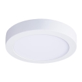 Plafón LED de techo 18W/230V 3000/4000/6000K Ø 22,5 cm, blanco