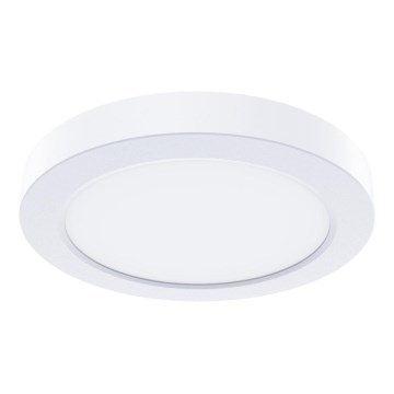 Plafón LED EVORA LED/6W/230V 3000/4000/6000K Ø 14 cm blanco