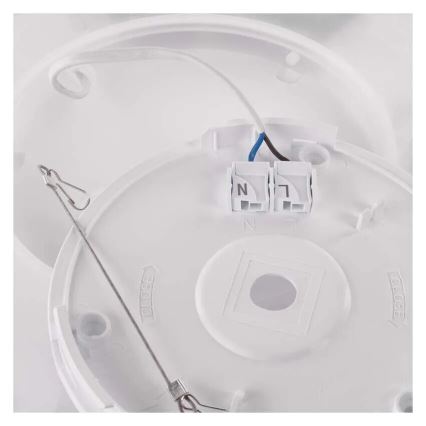 Plafón LED FLORI LED/18W/230V 4000K negro 29x29 cm