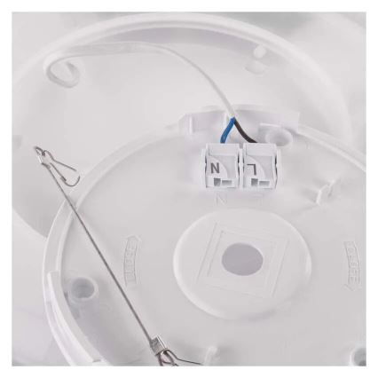 Plafón LED FLORI LED/22W/230V 4000K negro diá. 42 cm