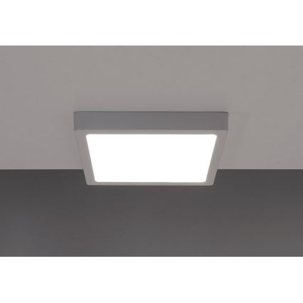 Plafón LED GERRY LED/6W/230V 3000K