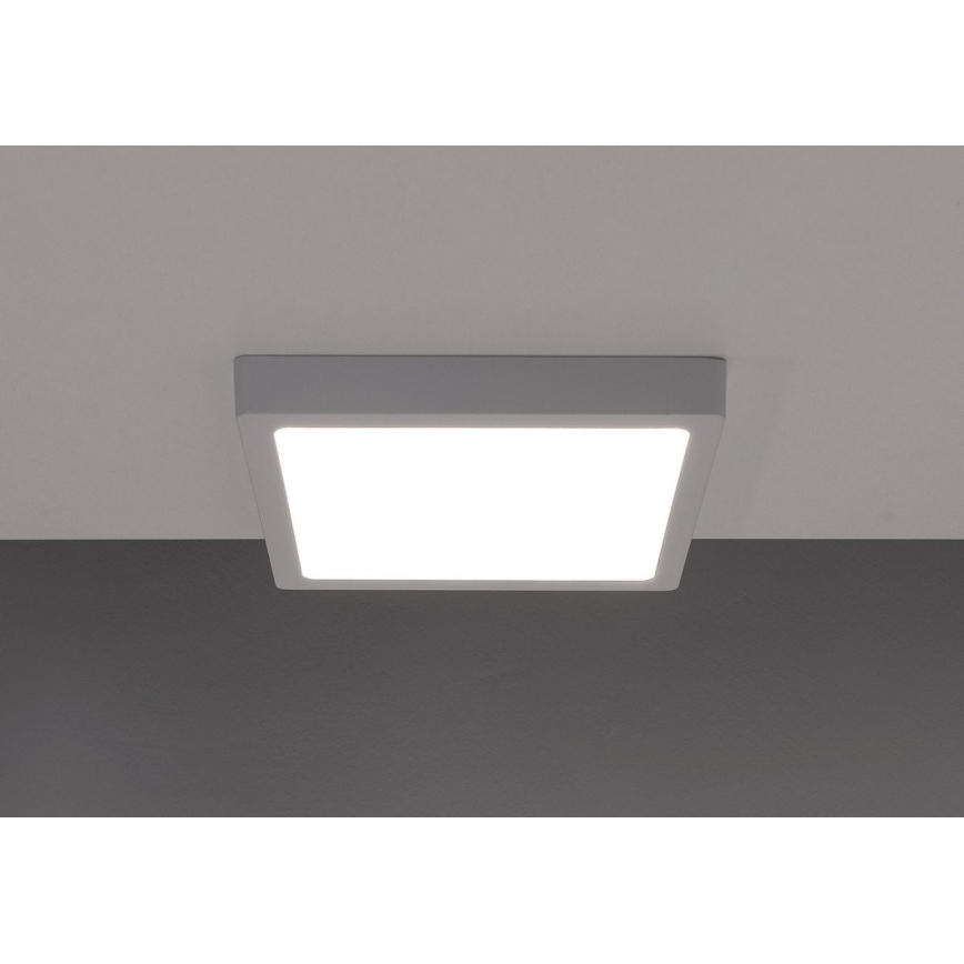 Plafón LED GERRY LED/6W/230V 3000K