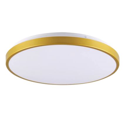 Plafón LED KERN LED/15W/230V diámetro 29 cm