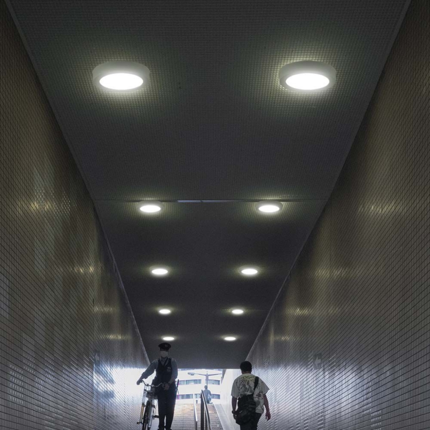 Plafón LED LED/12W/230V 3000K diá. 16,7 cm blanco