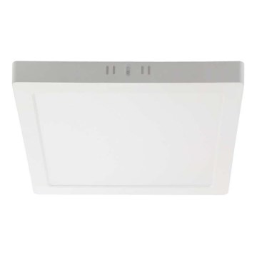 Plafón LED LED/12W/230V 6500K 16,7x16,7 cm blanco