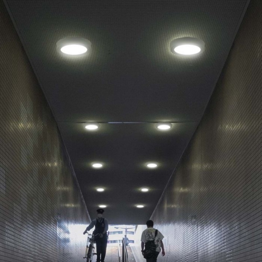 Plafón LED LED/18W/230V 6500K diá. 21,6 cm