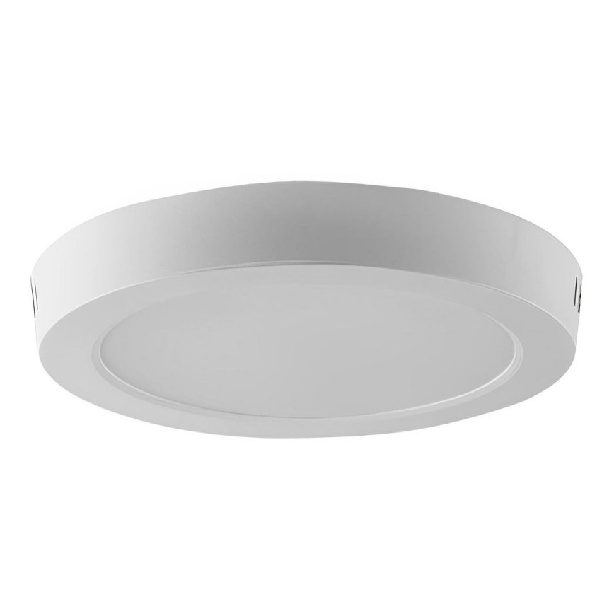 Plafón LED LED/24W/230V 6500K diá. 28,8 cm