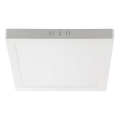 Plafón LED LED/6W/230V 6500K 12x12 cm blanco
