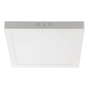 Plafón LED LED/6W/230V 6500K 12x12 cm blanco