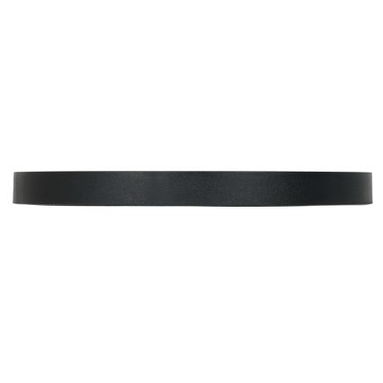 Plafón LED MAQ LED/24W/230V 3000/4000/6500K IP40 negro