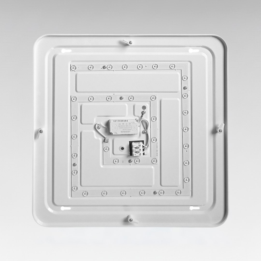 Plafón LED NEMO LED/36W/230V 50x50 cm cromo brillante