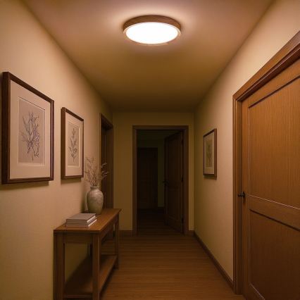 Plafón LED ORINOKO LED/36W/230V Ø 48 cm, beige