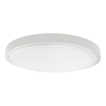 Plafón LED para baño LED/18W/230V 4000K IP44 Ø 25 cm blanco