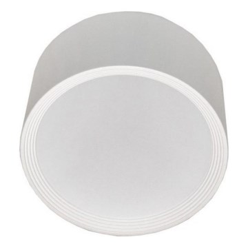 Plafón LED PERCI LED/20W/230V IP40 4000K blanco