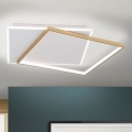 Plafón LED regulable EMANUEL LED/50W/230V blanco/dorado