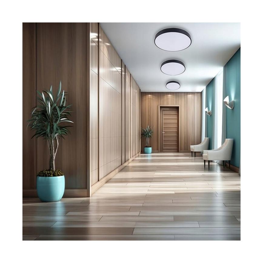 Plafón LED regulable LED/30W/230V 3000-6500K diá. 30 cm negro + control remoto