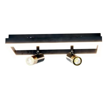 Plafón LED regulable LED/50W/230V 3000-6500K negro + control remoto