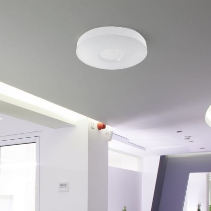 Plafón LED regulable LED/60W/230V 3000-6500K 49,5 cm blanco + control remoto